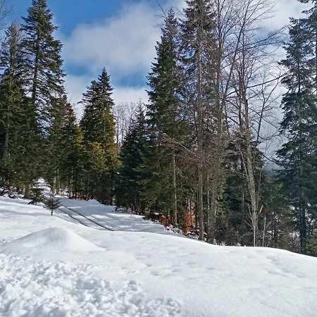 Tutic 1 I 2 Guest house