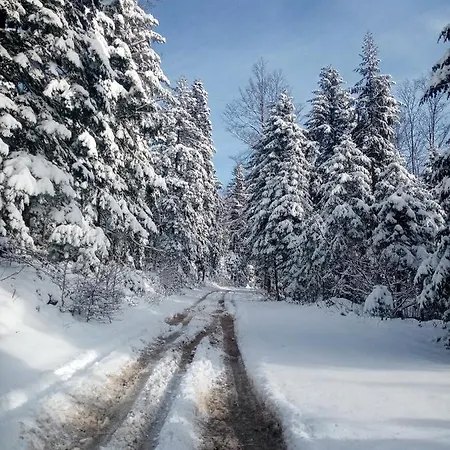 Tutic 1 I 2 3* Mitrovac