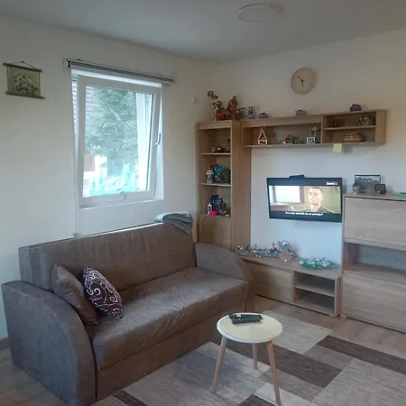 Tutic 1 I 2 Guest house Mitrovac